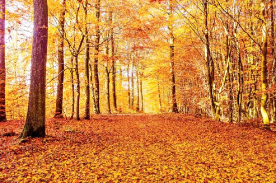 Autumnal Equinox 2025